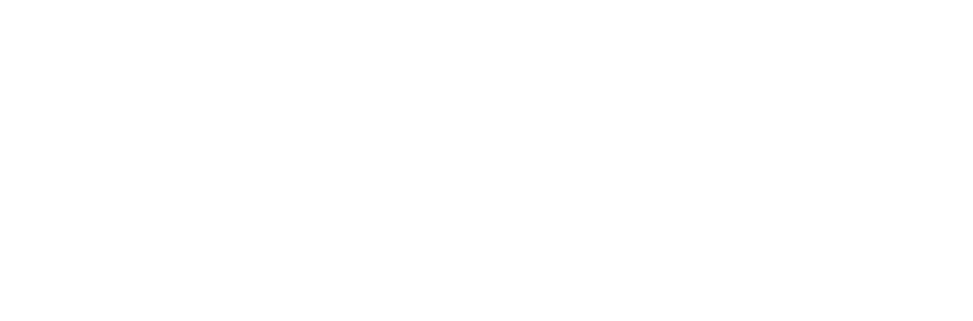 Hatsuboshi IDOL FESTIVAL ENTRY SHEET